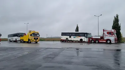 Scania Smoczyca Transport Niskopodwoziowy Łódź Zgierz - PHU Marek Szewczyk
